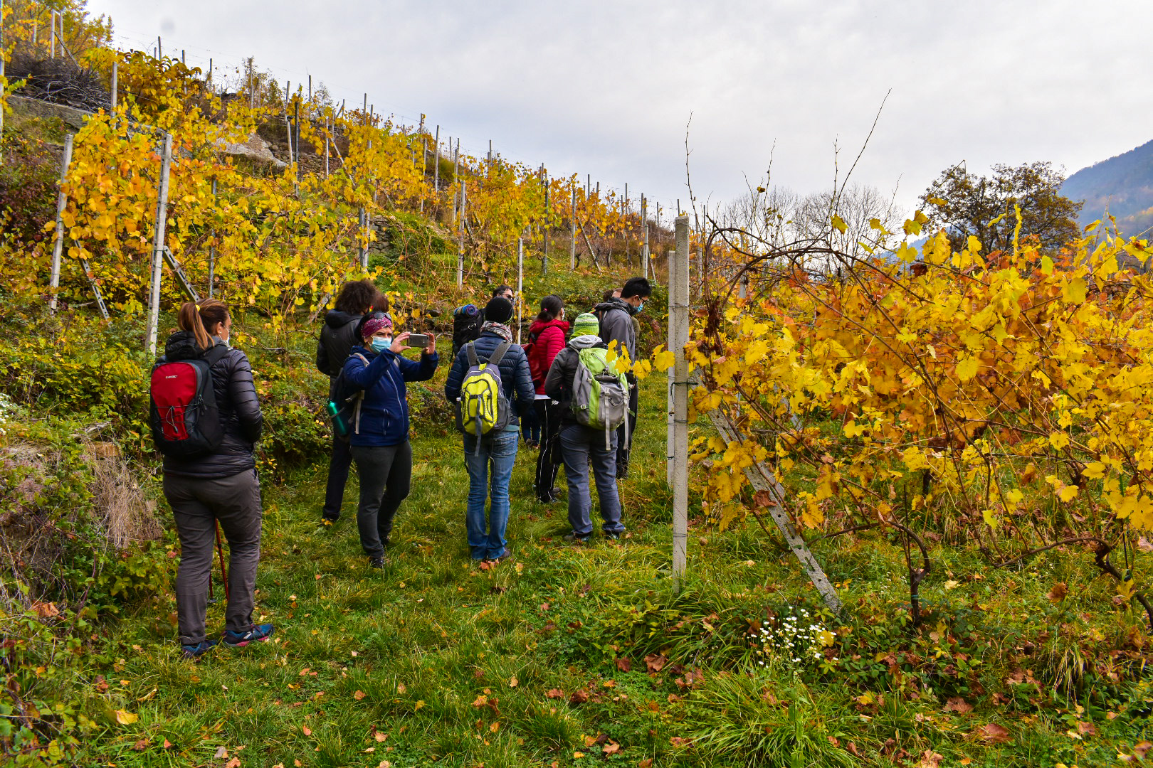 uscita gruppo vigneti