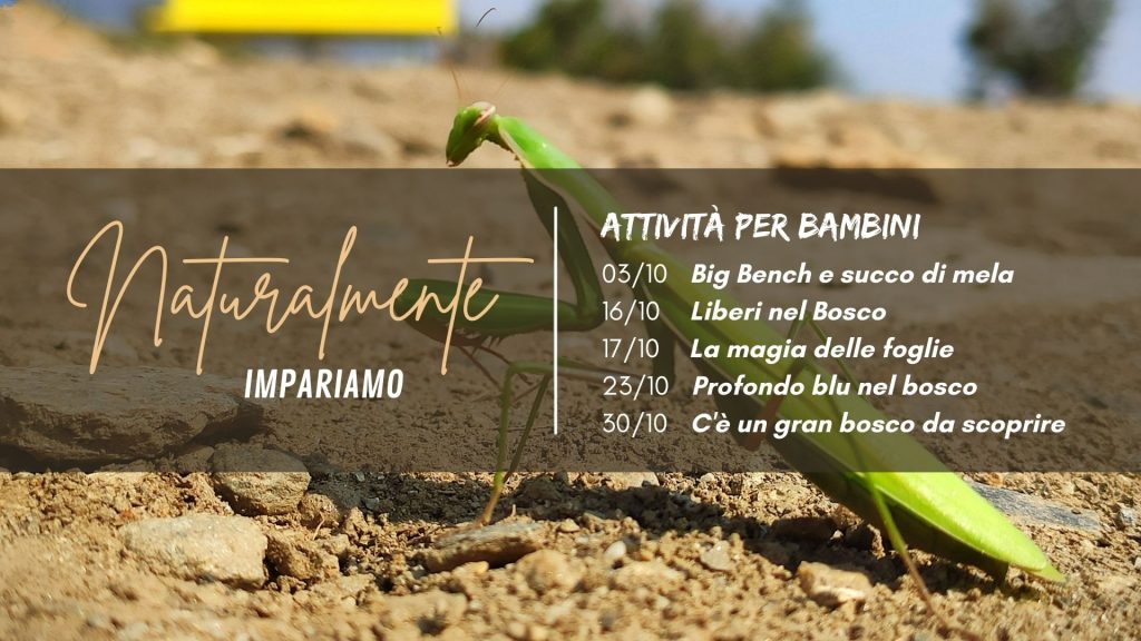 Amica Foglia